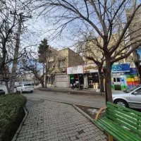 ۲۶۵ متری حاشیه کریمی ۶ دانگ ملک
