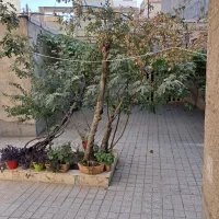 اجاره سوییت روزانه/هفتگی/ماهانه سمت حرم|اجارهٔ کوتاه‌مدت آپارتمان و سوئیت|مشهد, سمزقند|دیوار
