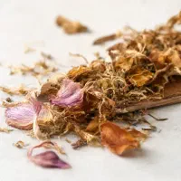 آموزش گیاه شناسی و روغن درمانی