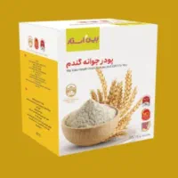 جوانه گندم