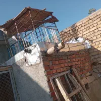 قفس آهنی