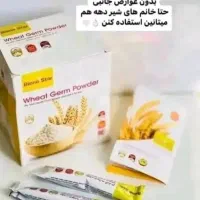 پودر جوانه گندم