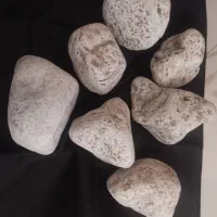 سنگ آکواریوم