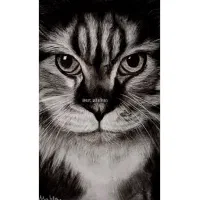 طراحی چهره سیاه قلم