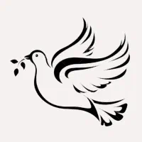 استخدام انبار دار  و  راننده نیسان