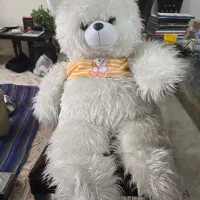 عروسک خرس سایز بزرگ