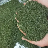 نعنا خشک