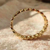 زنجیر نفرتی پهن|بدلیجات|بندر انزلی, ساحل قو|دیوار