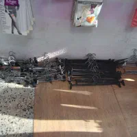رگال،شاخک زیر قیمت