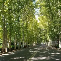 فروش-ویلایی1300متری-داخل-دهکده