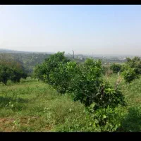 فروش زمین باغی بالای تپه با ویوی ابدی