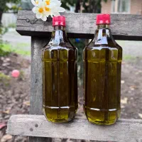 تولیدو پخش روغن زیتون ارگانیک|عمدهفروشی|رشت, منظریه|دیوار