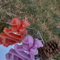 شمع های دست ساز|صنایع دستی و سایر لوازم تزئینی|قائن, |دیوار