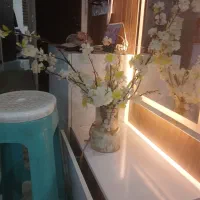 جاشمعی،گلدون.ورق بزنید|صنایع دستی و سایر لوازم تزئینی|مشهد, نوید|دیوار