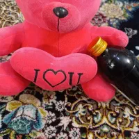 عروسک گم شده به عکس دقت کنید