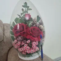 گل حبابی