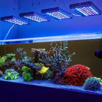 ملزومات آکواریوم