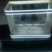 آکواریوم شرکتی ماهیران