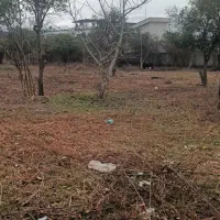 زمین-کشاورزی-تکمران