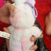 لبوبو اصل|اسباب‌‌بازی|فرخ‌شهر, |دیوار