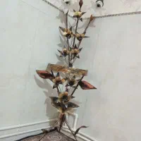 آباژور در حد نو