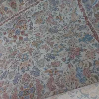 قالی ۱۲متری تکی|فرش|بندرعباس, |دیوار