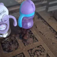 لیوان مخصوص کودک
