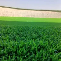 گرینوال،فنس،چمن|خدمات باغبانی و درختکاری|کرج, کمالشهر|دیوار