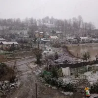 اجاره ویلاروزانه منطقه ی تالاب سوستان روستای بنگبر|اجارهٔ کوتاه‌مدت ویلا و باغ|لاهیجان, لیل|دیوار