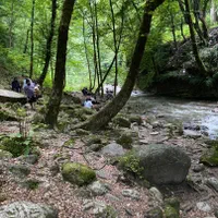 دربستی به کل کشور تهران مشهد قم|خدمات حمل و نقل|اهواز, بهارستان|دیوار