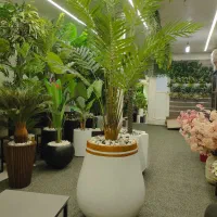 بزرگترین پخش کننده انواع درختچه مصنوعی در اراک