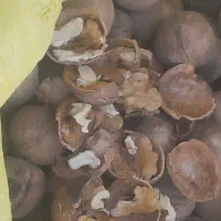 فروش محصولات کوهستانی درجه یک