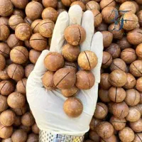 فندوق ماکادمیا(فندق استرالیایی)