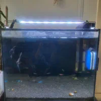 آکواریوم ریملس