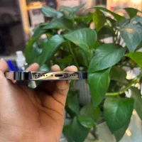 iPhone 12 pro دوسیم za/a 128 گیگ رنگ آبی اطلسی|موبایل|گرگان, |دیوار