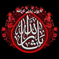 کاروان زیارتی ثارالله(ع)