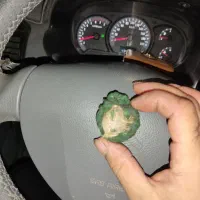 مهره قدیمی