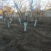 خدمات تخصصی باغبانی و فضای سبز