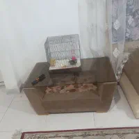 فروش ۸ نفره با دو عدد میز