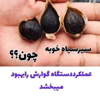 سیرسیاه|خوردنی و آشامیدنی|ری, ولی آباد|دیوار