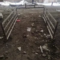 اتاق وانت پیکان