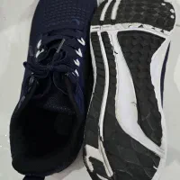 کتانی|کیف، کفش، کمربند|رشت, امین الضرب|دیوار