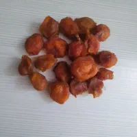 الوبخارا افتابی امسالی|خوردنی و آشامیدنی|مشهد, گاز|دیوار