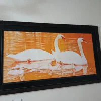 فروش لوازم منزل|میز و صندلی غذاخوری|کازرون, |دیوار