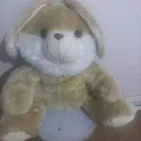 پاندا|اسباببازی|تبریز, |دیوار