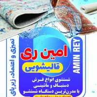 قالیشویی امین ری