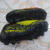 استوک داردرحدنو