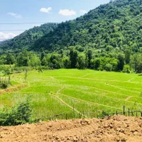 ۸۰۰متر زمین مسکونی/با بنا/ج امام زاده ابراهیم|فروش زمین و ملک کلنگی|رشت, بوسار|دیوار