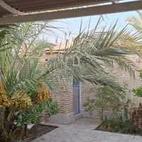 منزل اجاره ای دربست . روزانه،هفتگی|اجارهٔ کوتاه‌مدت آپارتمان و سوئیت|طبس, |دیوار
