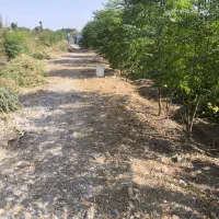 باغچه250متری|فروش خانه و ویلا|اسلام‌شهر, شهرک مصطفی خمینی|دیوار